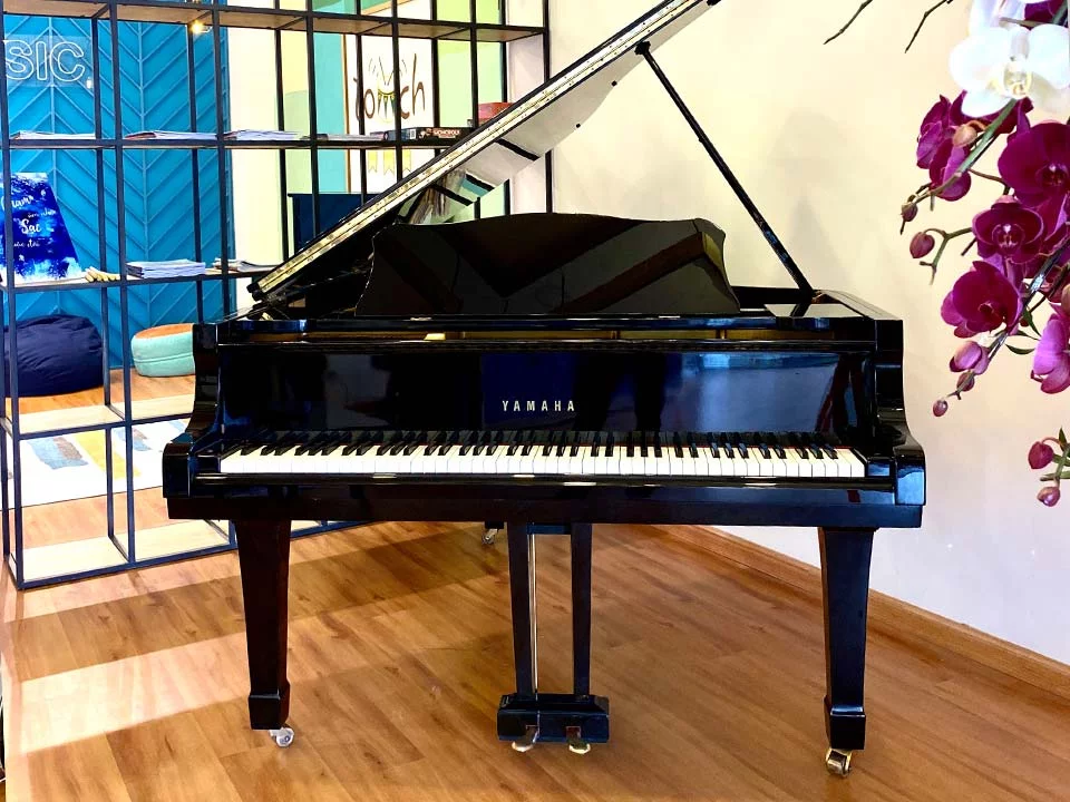 YAMAHA G5
