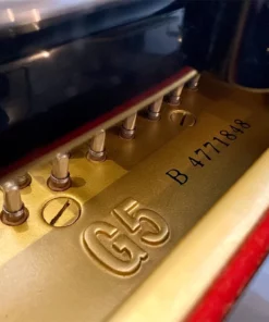 YAMAHA G5B (Seri 4.7)
