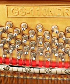 GS-110 BDR
