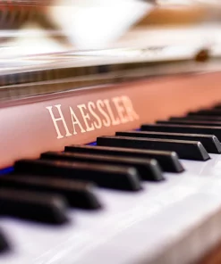 Haessler H132 (Designed by Blüthner)