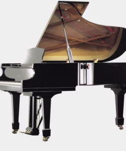 Irmler P122 E (Designed by Blüthner)