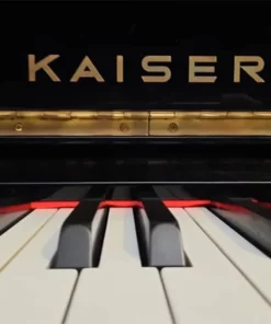 KAISER K2