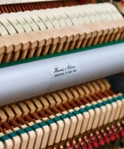 KAWAI BL61 Superior