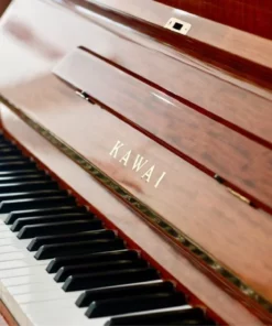 KAWAI BL61 Superior