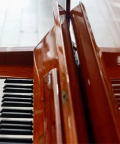 KAWAI BL61 Superior