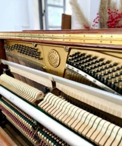 KAWAI BL61 Superior
