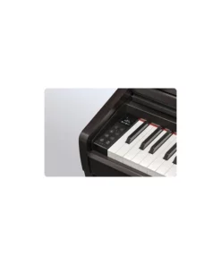 KAWAI CA401 MOCHA WALNUT