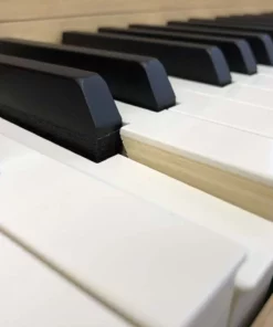 KAWAI CA48 LO