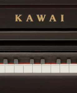 KAWAI CA501 R (USED)