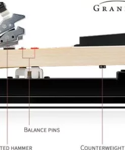 KAWAI CA67 R