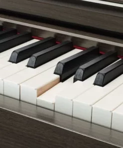 KAWAI CA91 R