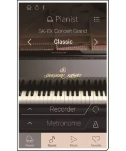 KAWAI CA99 PE (NEW)