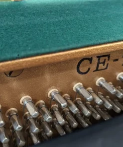 KAWAI CE-7N