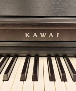 KAWAI CN201 B