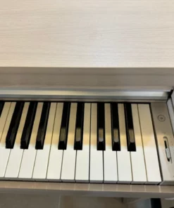 KAWAI CN201 A