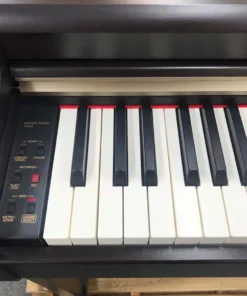 KAWAI CN24 R