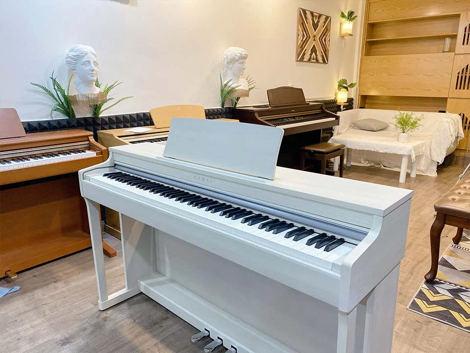 KAWAI CN25 A - Nah Music