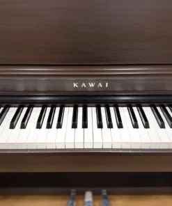 KAWAI CN29 DW
