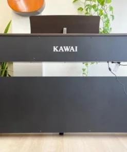 KAWAI CN29 DW