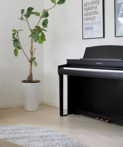 KAWAI CN301 B