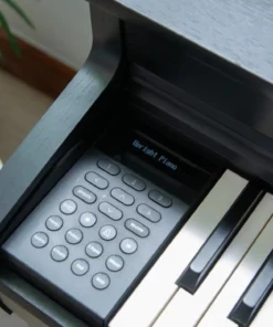 KAWAI CN301 B