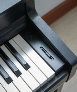KAWAI CN301 B