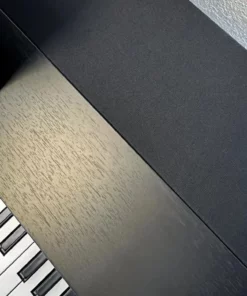 KAWAI CN301 B