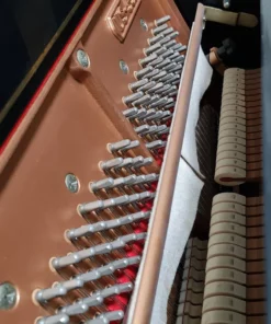 KAWAI DS-55 (Limited Edition)