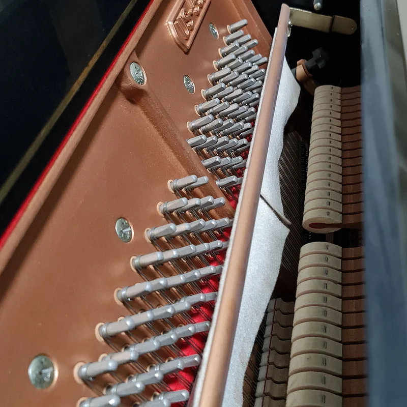 KAWAI DS-55 (Limited Edition) - Nah Music