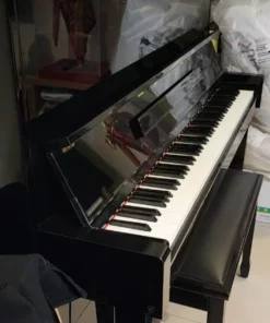 KAWAI DS-55 (Limited Edition)