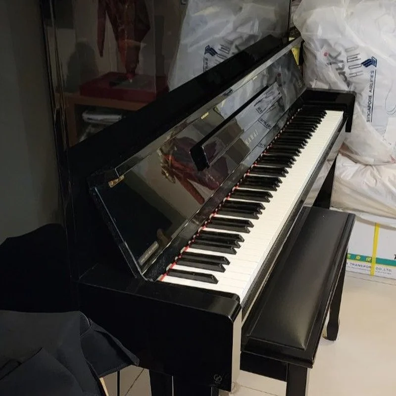 KAWAI DS-55 (Limited Edition) - Nah Music