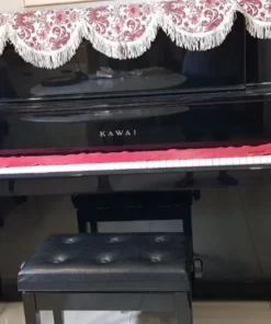 KAWAI DS-55 (Limited Edition)