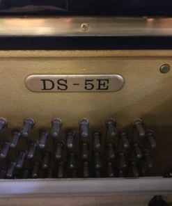 KAWAI DS-5E
