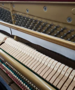 KAWAI DS-65L