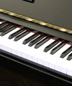 KAWAI DS-65L
