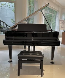 KAWAI GL20 PE