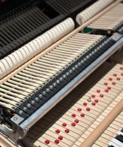 KAWAI GL20 PE