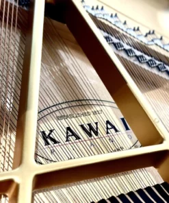 KAWAI GL20 PE