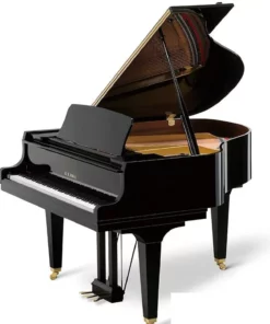KAWAI GL20 PE