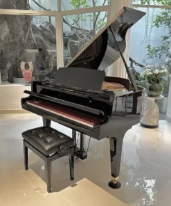 KAWAI GL20 PE