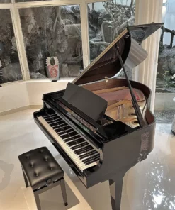 KAWAI GL20 PE