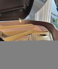 KAWAI GL20 PE