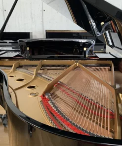 KAWAI GL50 PE