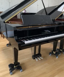 KAWAI GL50 PE