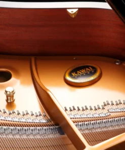 KAWAI GX2 PE