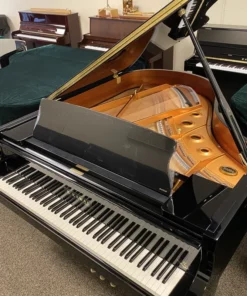 KAWAI GX2 PE