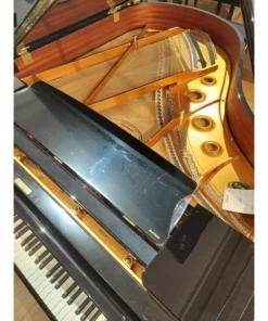 KAWAI GX2 PE