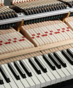 KAWAI GX6