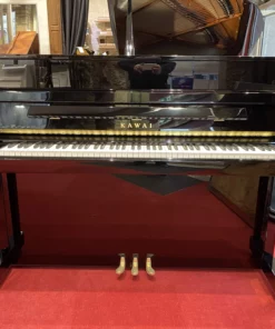 KAWAI K-200