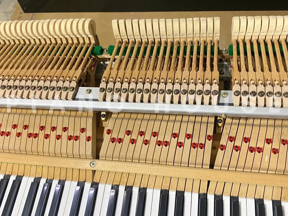 KAWAI KG-1E PM